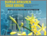 [thumbnail of Anggriani Khoidir Irjayanti Wakhidah Purnama- antioksidan anggrek Cymbidium Golden Boy ekstrak etanol.pdf]