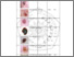 [thumbnail of LAMPIRAN.pdf]