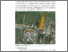 [thumbnail of BAB II.pdf]