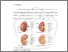 [thumbnail of BAB II.pdf]