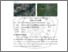 [thumbnail of BAB II.pdf]