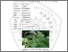 [thumbnail of BAB 2.pdf]
