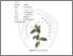 [thumbnail of BAB II (1).pdf]