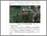 [thumbnail of BAB II.pdf]