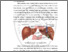[thumbnail of BAB II.pdf]