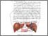 [thumbnail of BAB II .pdf]