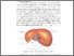 [thumbnail of Bab II.pdf]