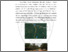 [thumbnail of BAB II.pdf]