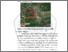 [thumbnail of BAB II.pdf]