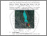 [thumbnail of BAB II.pdf]
