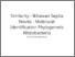 [thumbnail of Similarity - Ikhawan Septia Novita - Molecular Identification Phylogenetic Rhizobacteria.pdf]