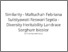 [thumbnail of Similarity - Maftuchah Febriana Sulistyawati Reswari Septia - Diversity Heritability Landrace Sorghum bicolor.pdf]