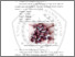[thumbnail of BAB II.pdf]